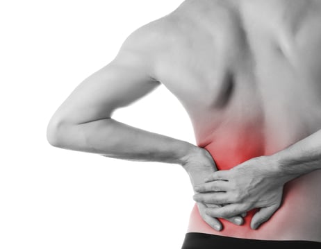 back pain assessed by health and wellness professionals